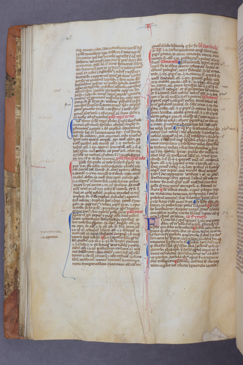 Folio 44 verso